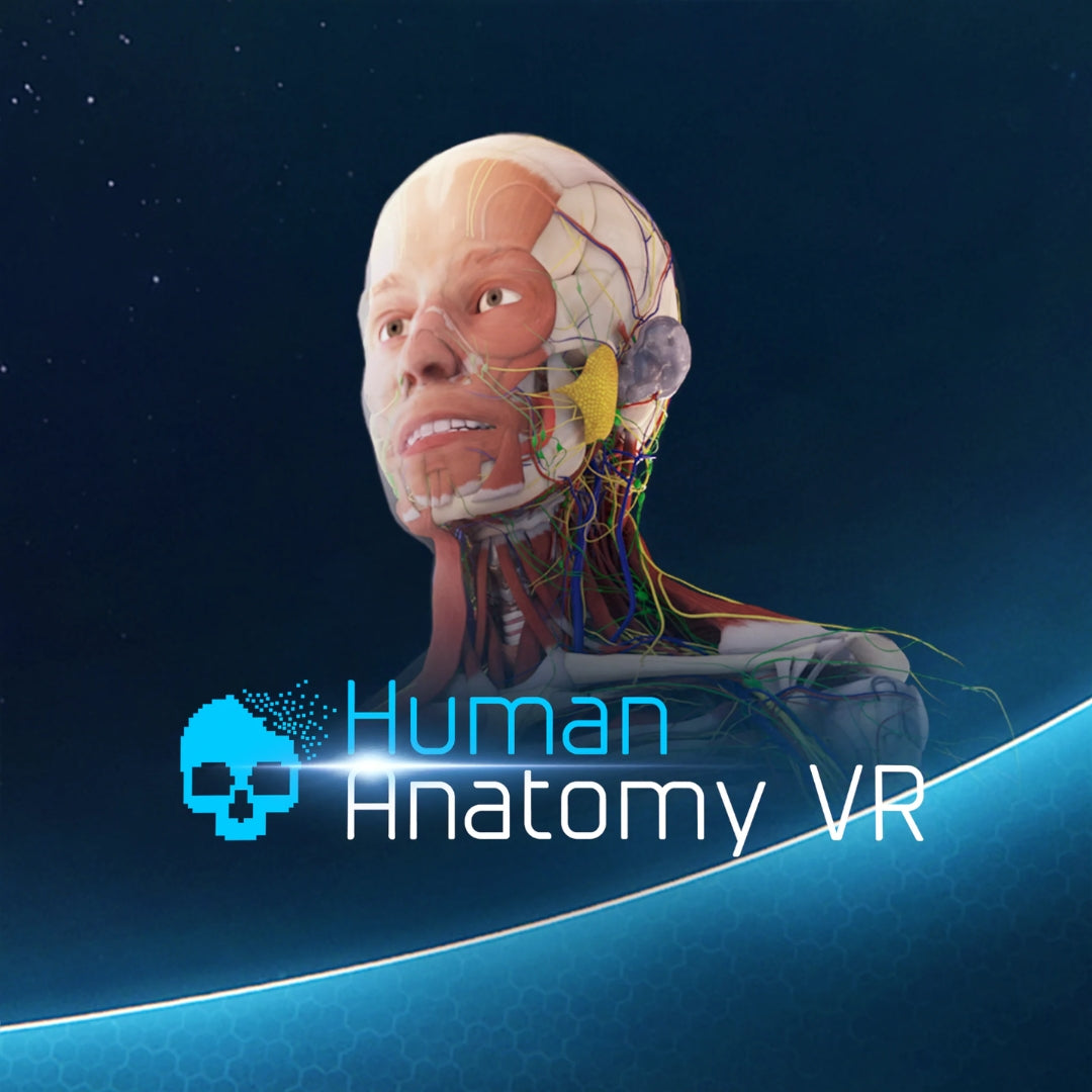 Human Anatomy VR  application for Meta Quest 2